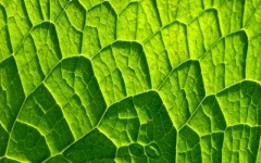 image of texture