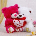 image of teddy_bear