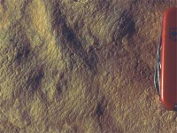 image of texture