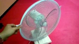 image of fan