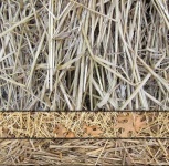 image of texture