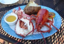 image of american_lobster