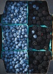 image of blueberry