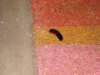 image of doormat