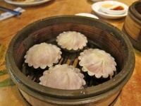 image of dumplings #23