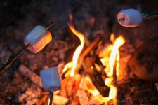 image of campfire