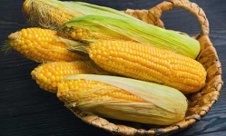 image of fruit_and_vegetable