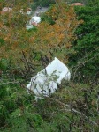 image of plastic_bag