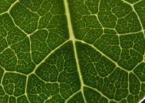 image of texture
