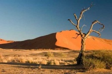 image of desert