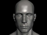 image of human_body_parts
