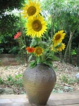 image of vase