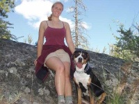 image of greater_swiss_mountain_dog