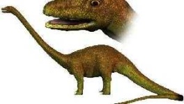 image of brontosaurus