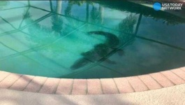 image of pool