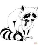 image of animal