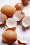 image of egg_shell #31