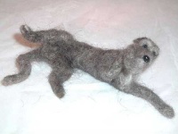 image of scottish_deerhound