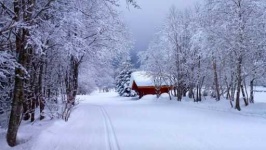 image of snowy