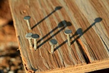 image of nail