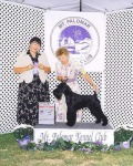 image of standard_schnauzer