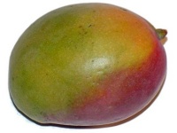 image of mango #24