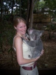 image of koala #0