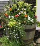 image of pot