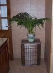 image of pot