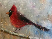 image of cardinal