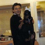 image of doberman