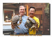 image of dungeness_crab