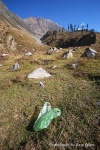 image of plastic_bag