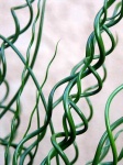image of texture