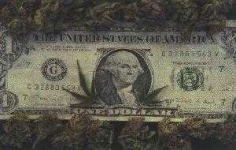 image of dollar_bill #1