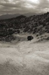 image of jeep_car