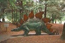 image of stegosaurus