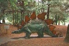 image of stegosaurus #24