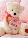 image of teddy_bear