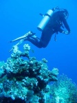 image of scuba_diver
