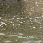 image of material