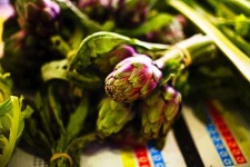 image of artichoke