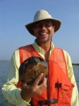 image of terrapin