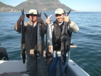 image of barracouta