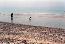 image of sandbar