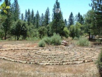 image of maze