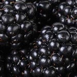 image of blackberry