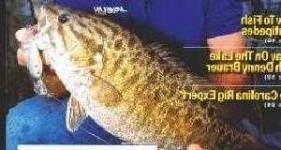 image of animal