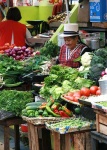 image of cauliflower