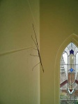 image of walking_stick
